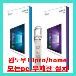 윈도우10 pro/home (4in1~6in1패키지상품) 설치usb^^ (2번 패키지)